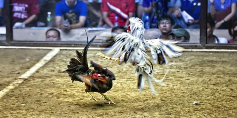 99ok ﻿đăng nhập lô đề uy tín