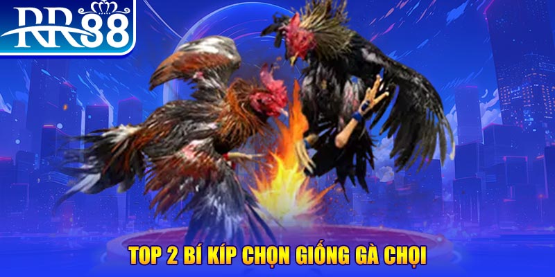 99ok bắn cá h5