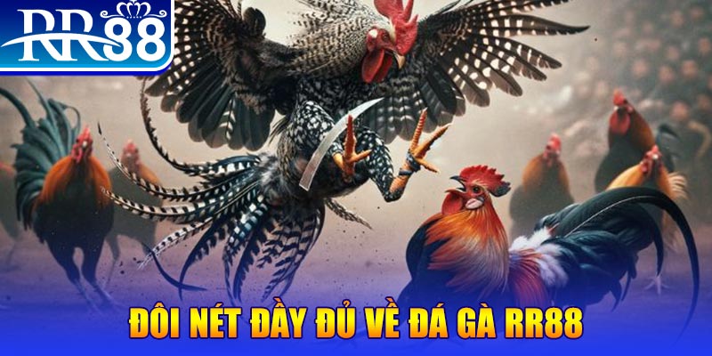 99ok gà chọi hoà phong