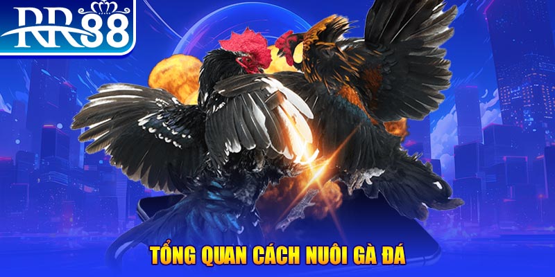 99ok xổ số thứ ba
