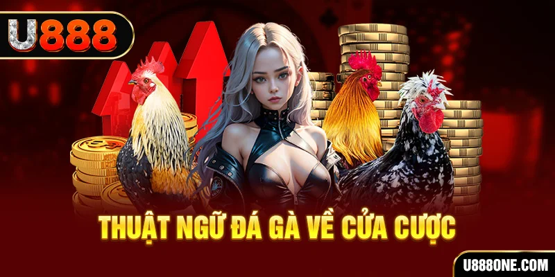 99ok da ga 88