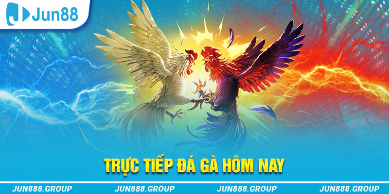 99ok trực tiếp đá gà thomo