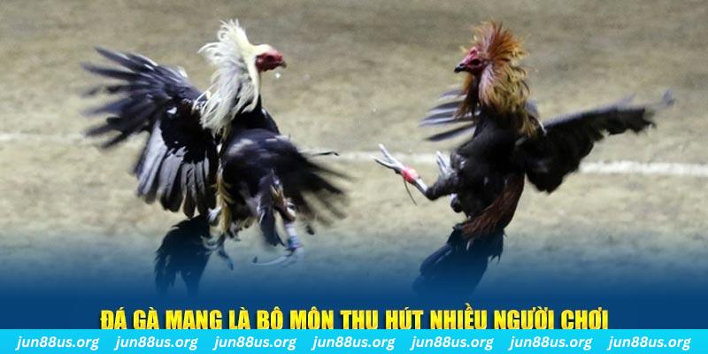 99ok xổ số long an
