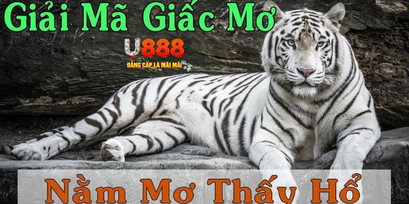 99ok Bài Poker Joker