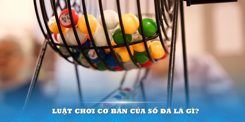 99ok Đĩa màu ace