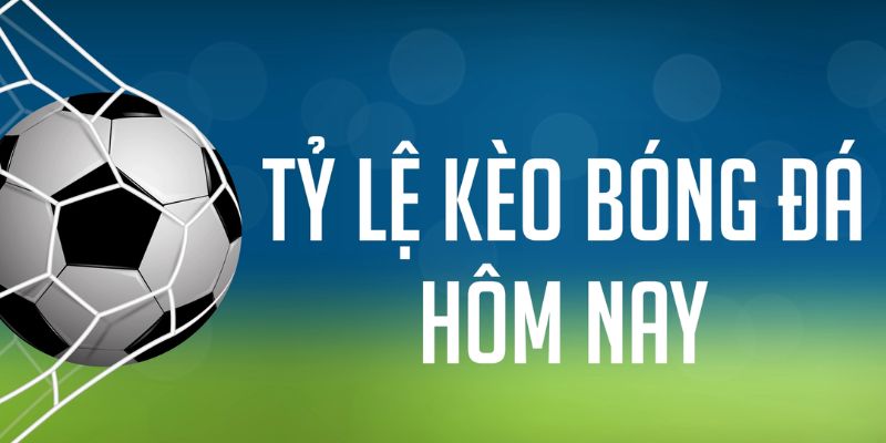 99ok ÁT CHỦ MÁY HOA QUẢ THẦN TÀI