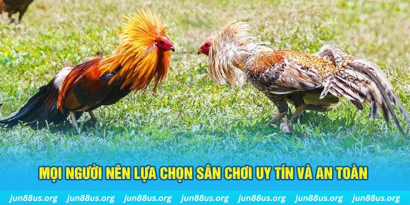99ok Tài Xỉu