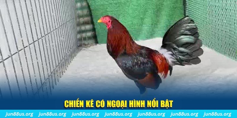 99ok nhạc slot là gì